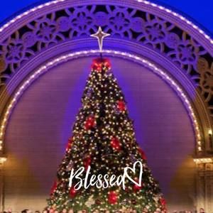 Meet your Posher, Esmeralda n luis